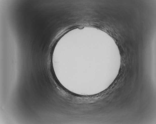 X0000112170005200909181422