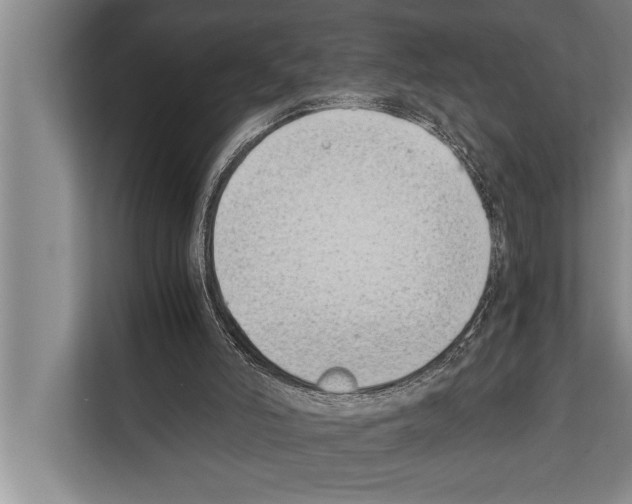 X0000112170006200909181422