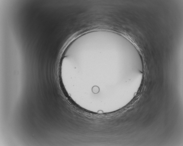 X0000112170007200909181422