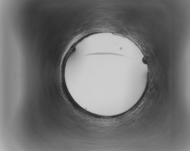 X0000112170008200909181422