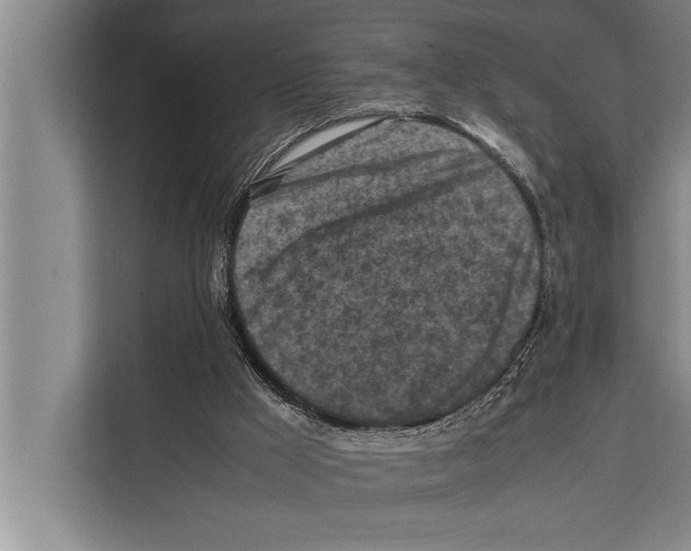 X0000112170009200909181422