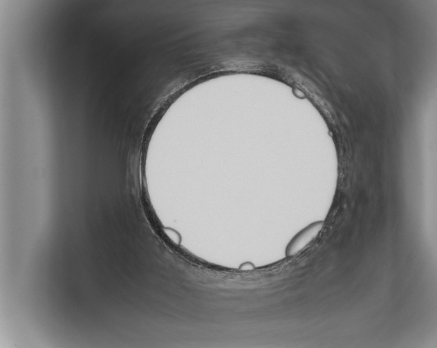 X0000112170011200909181422