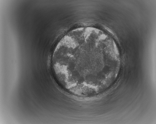 X0000112170018200909181422