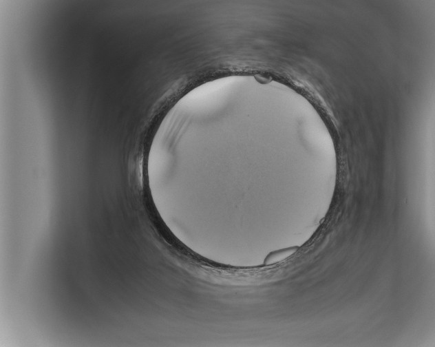 X0000112170019200909181422