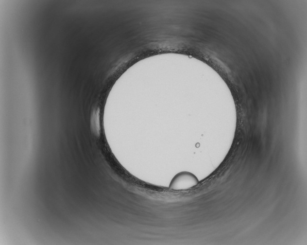 X0000112170020200909181422