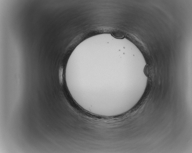 X0000112170024200909181422