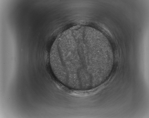 X0000112170029200909181422