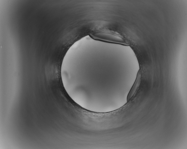 X0000112170039200909181422