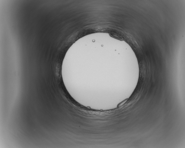 X0000112170044200909181422