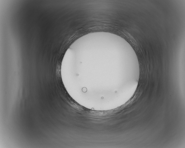 X0000112170045200909181422