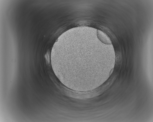 X0000112170046200909181422