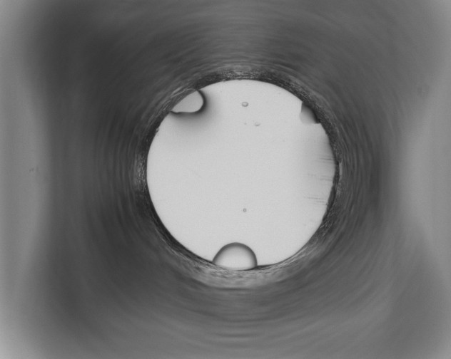 X0000112170048200909181422