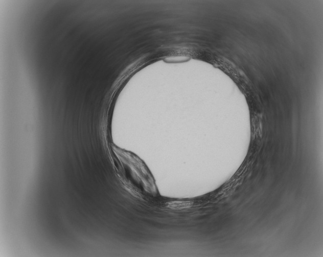 X0000112170051200909181421