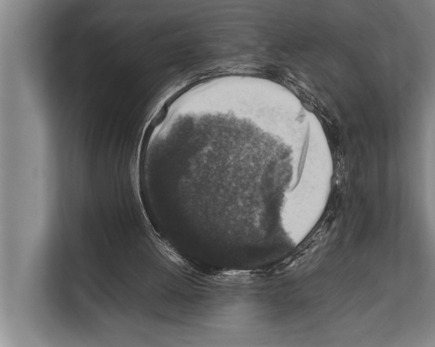 X0000112170052200909181421