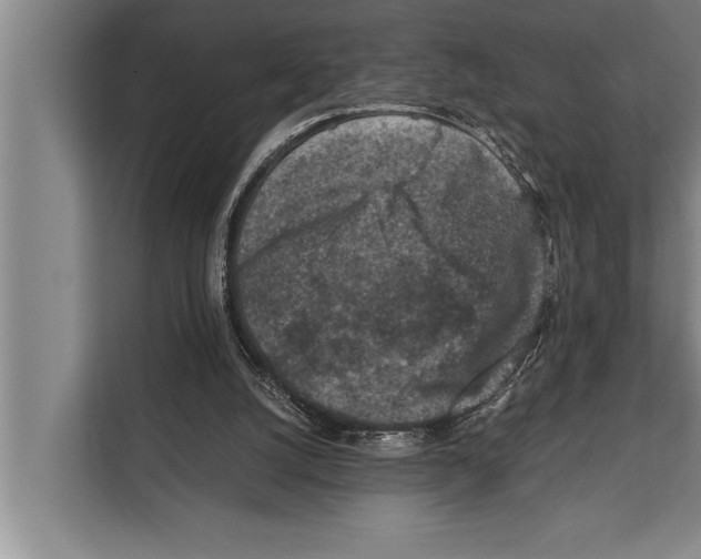 X0000112170056200909181421