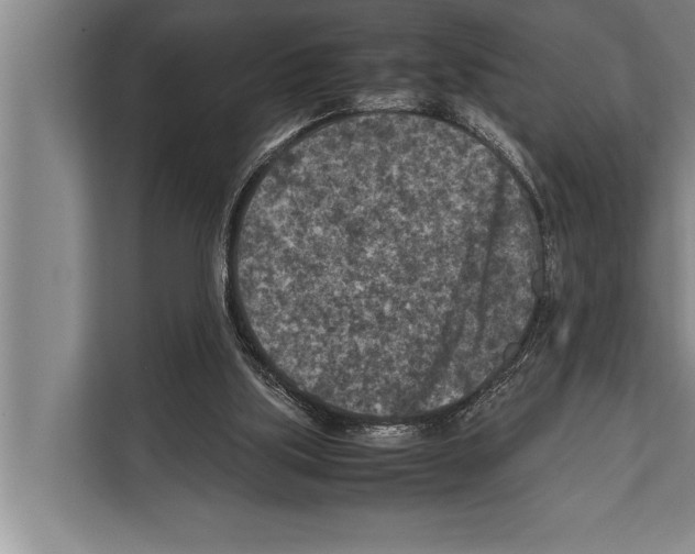 X0000112170059200909181421