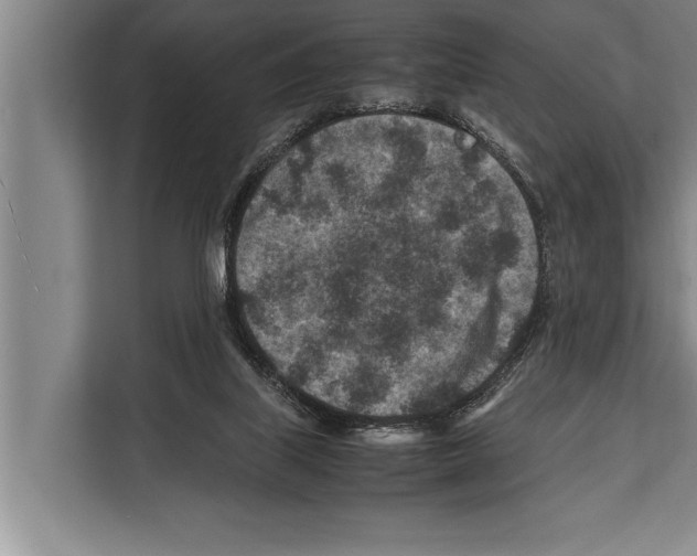 X0000112170067200909181422