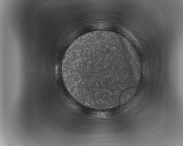 X0000112170073200909181422