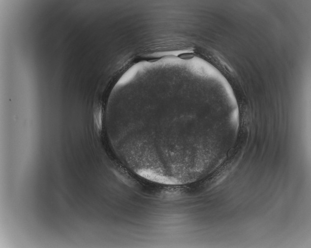 X0000112170076200909181422