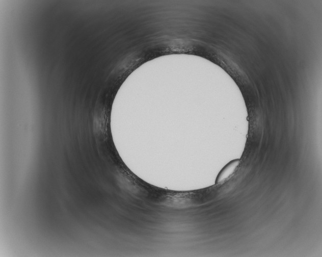 X0000112170078200909181422