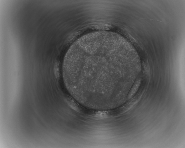 X0000112170080200909181422