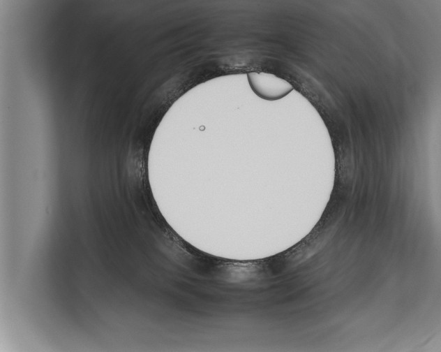 X0000112170085200909181422