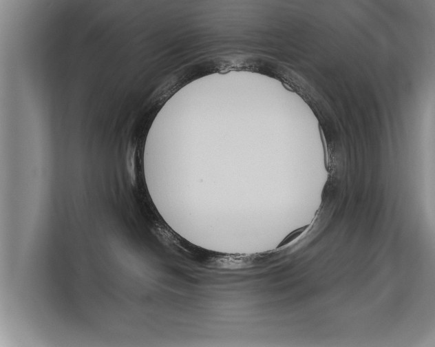 X0000112170094200909181422