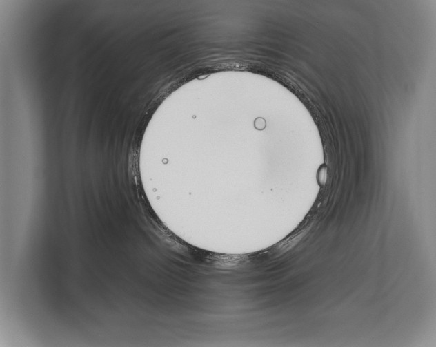 X0000112170096200909181422