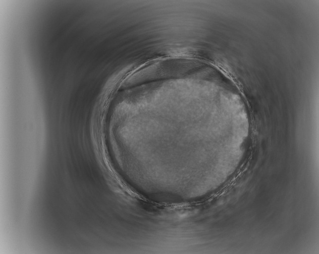 X0000112170097200909181421