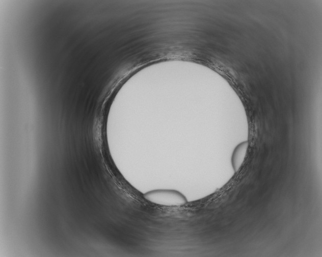 X0000112170098200909181421