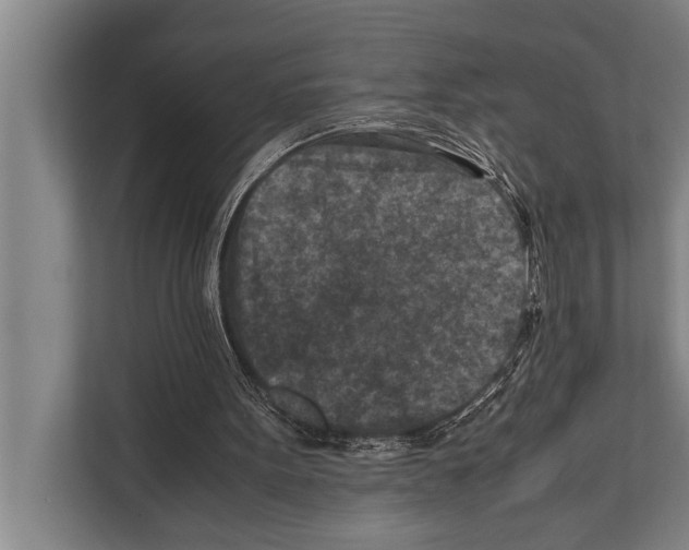 X0000112170099200909181421