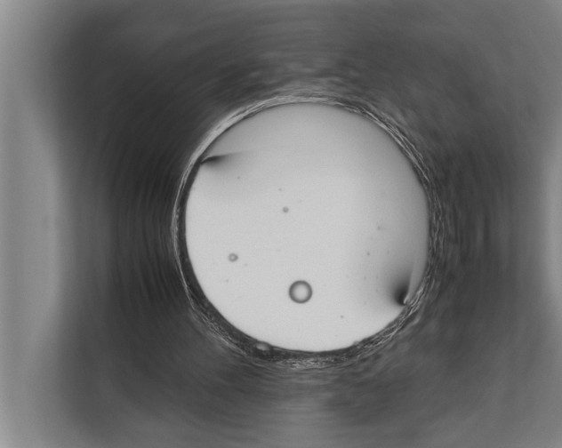 X0000112170100200909181421