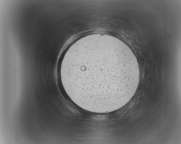 X0000112170102200909181421