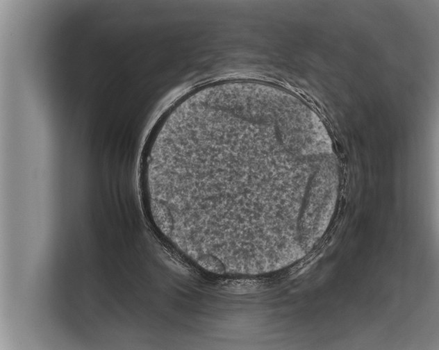 X0000112170104200909181421