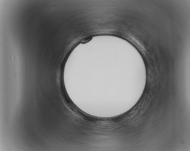 X0000112170107200909181421