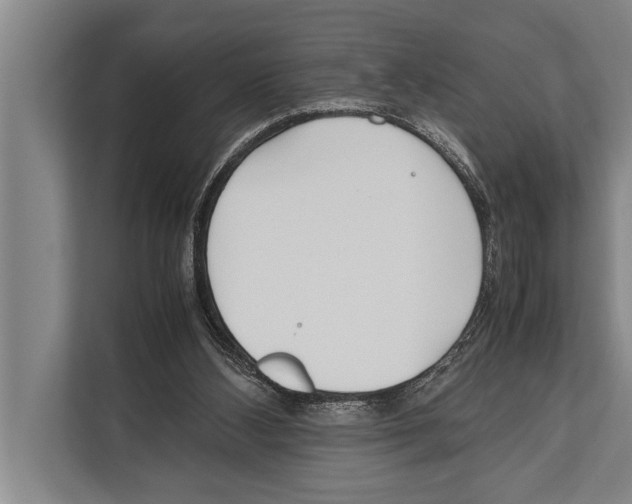 X0000112170108200909181421