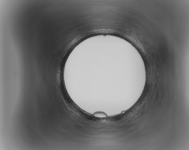 X0000112170111200909181421