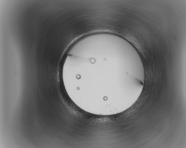 X0000112170112200909181421