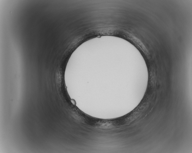 X0000112170113200909181421