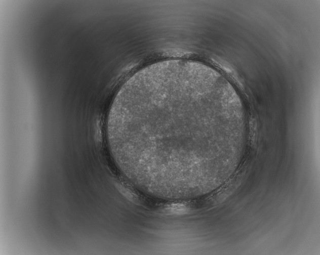 X0000112170114200909181421