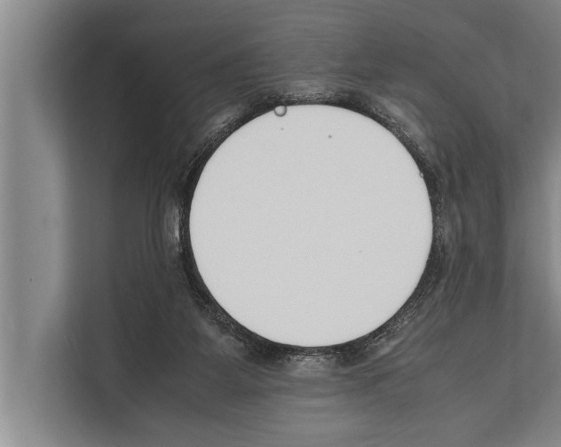 X0000112170115200909181421