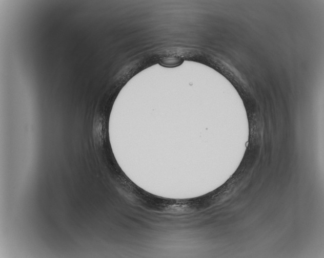 X0000112170119200909181421