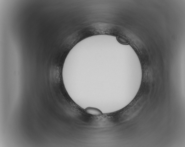 X0000112170121200909181421