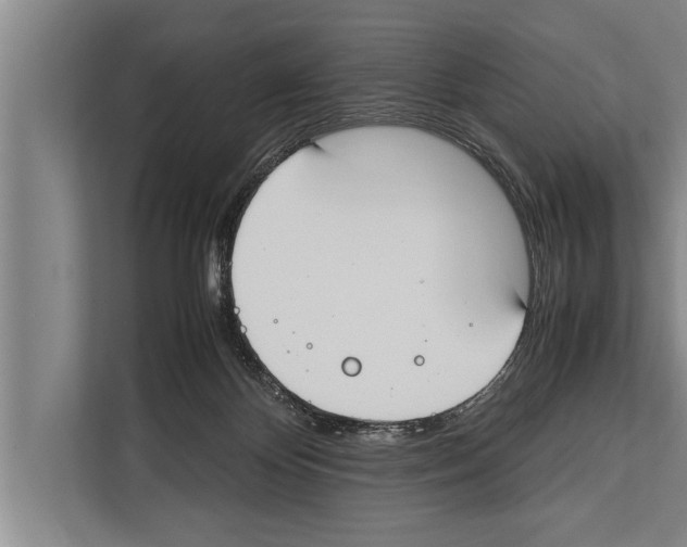 X0000112170124200909181421