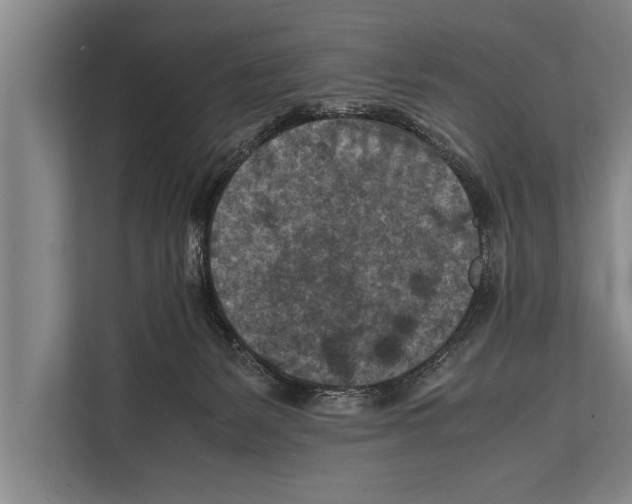 X0000112170127200909181421