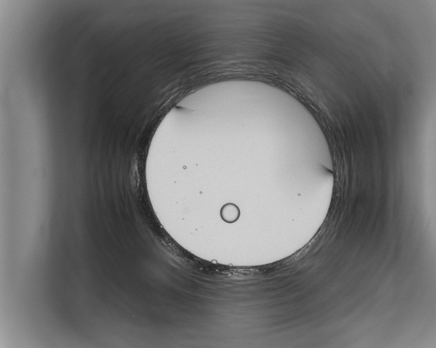 X0000112170128200909181421