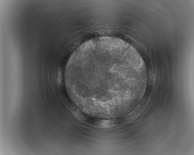 X0000112170130200909181421