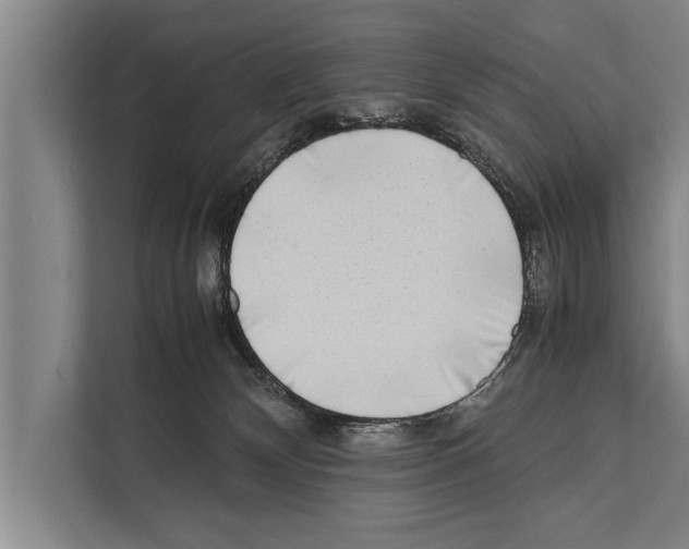 X0000112170132200909181421