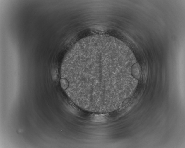 X0000112170134200909181421