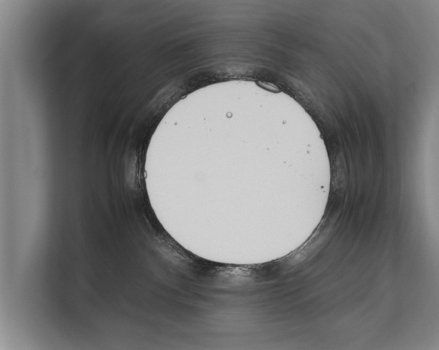 X0000112170140200909181421